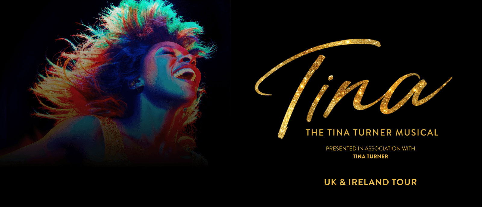 tina uk tour 
